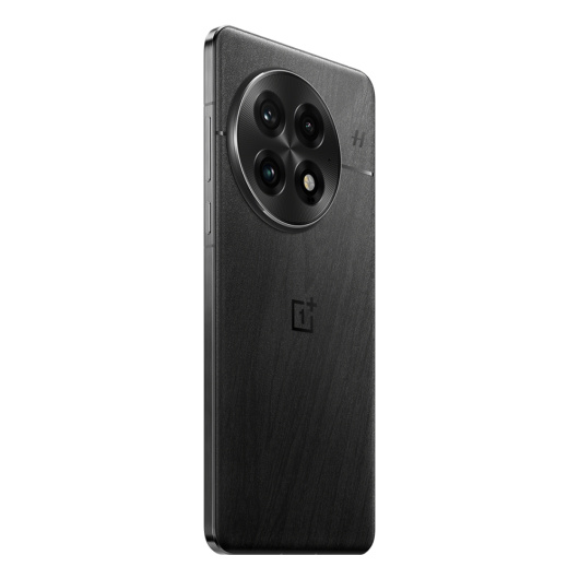 OnePlus 13 12/512Gb Dual nanoSim Черный (CN)