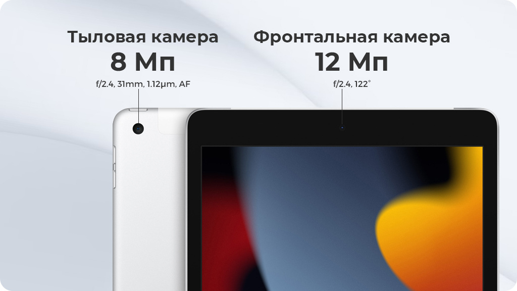 Apple iPad (2021) Wi-Fi 256Gb Серый